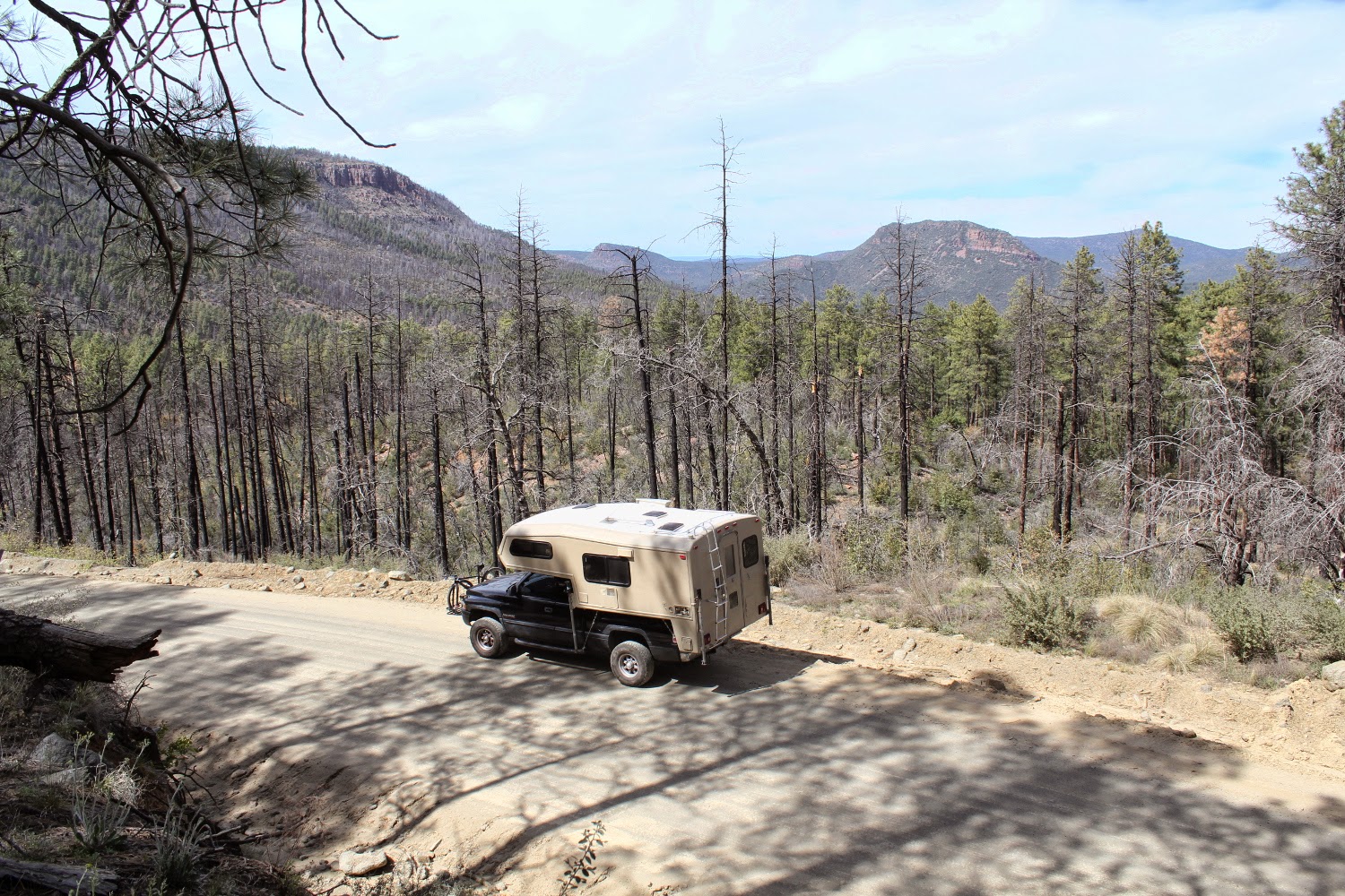 IMG_3543.JPG width=640